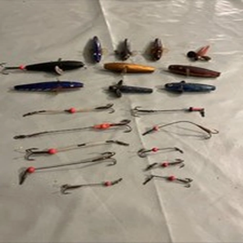 10 Assorted Minnows