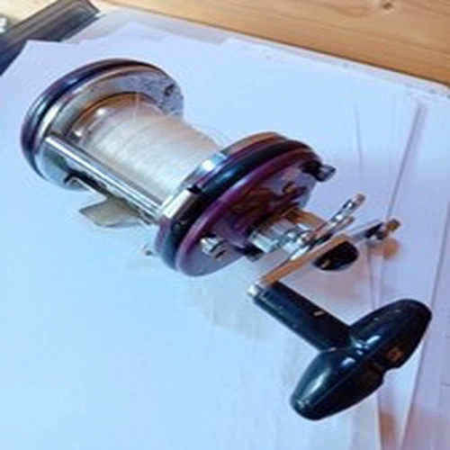 Leeda Sea Fising Multipler Fishing Reel
