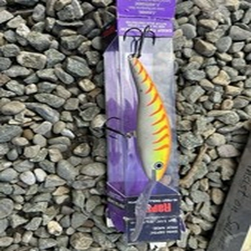 Rapala 40 Feet Trolling Lure