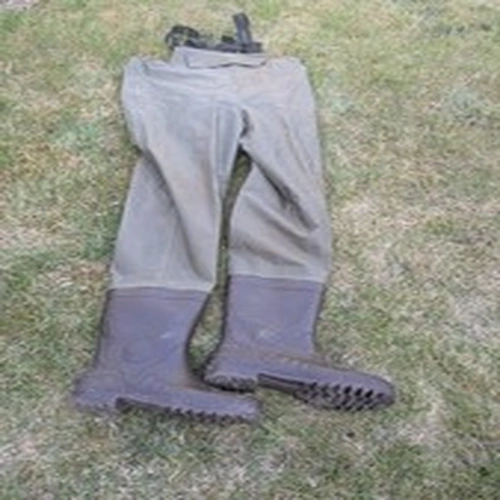 Daiwa Chest Waders Size 8 - Carp Fishing
