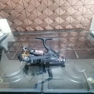 Shakespeare baitrunner 