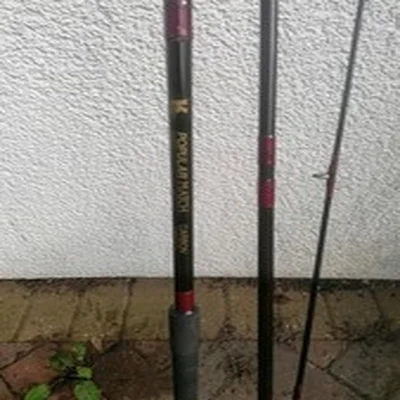 10ft Popular Match Rod