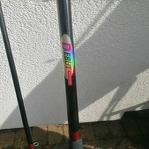 Here Is Masterline Debut 10 Ft Spinning Rod