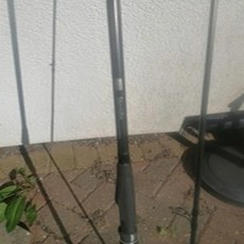 Leeda Carp Rod