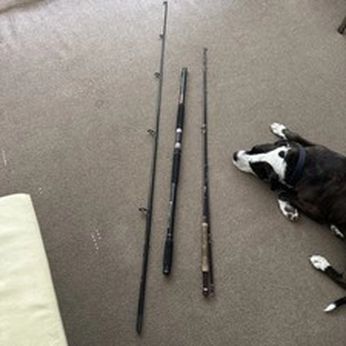 Fishing Rod