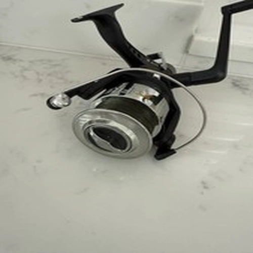 Fixed Spool Spinning Reel LINEAEFFE FREE CARP 60 Baitrunner Open Face Rear Drag