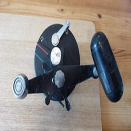 Daiwa Sealine SL250H fishing reel.