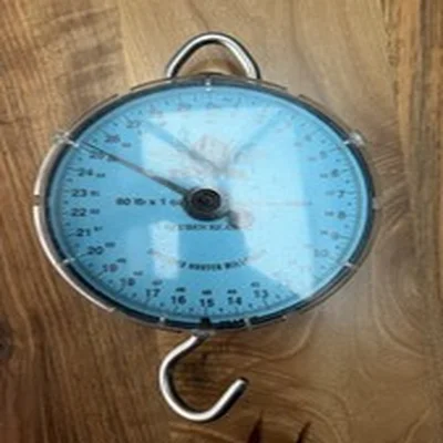Ruben Heaton 60lb Scales