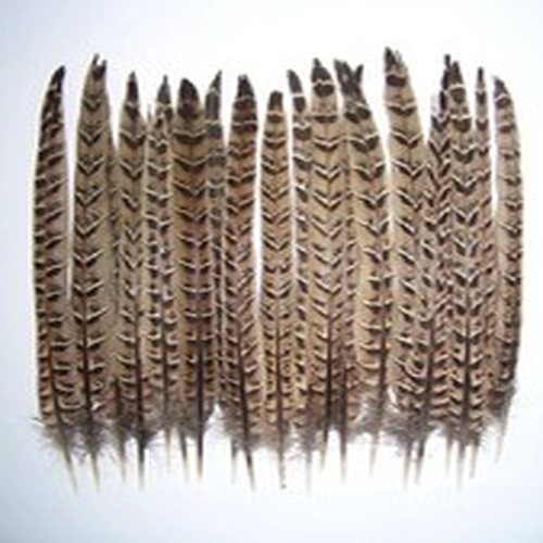 20 Hen Pheasant Centre Tail Feathers. Fly Tying, Crafts, Hat Making.