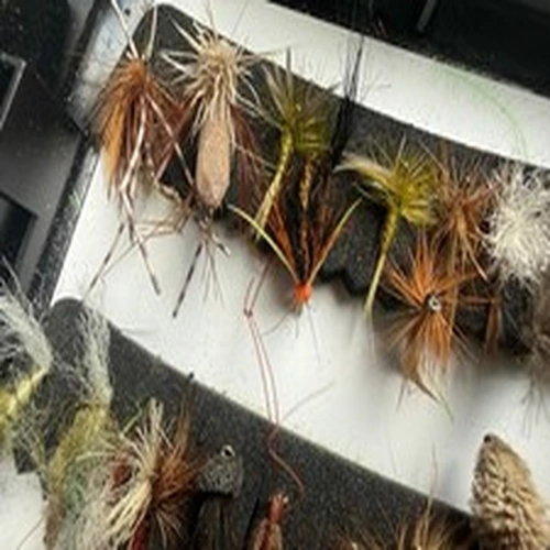 A large plastic  fly box with many dry flies.