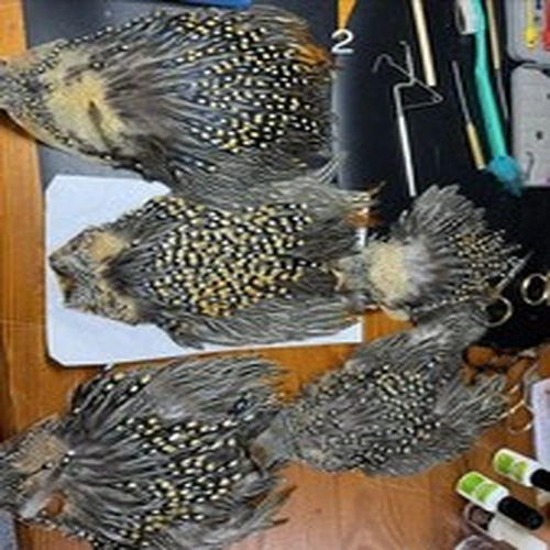 Part Used Jungle Cock Capes 