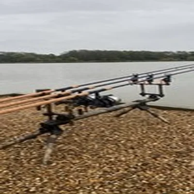 Mega Rare advantage Timber Fox Pod