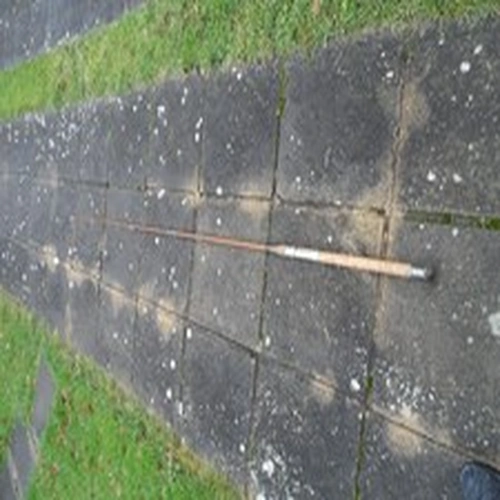 The  Glasranger   Rod  and Some Cane Rods