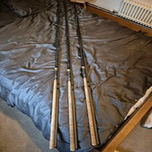 Shimano TX2 Carp Rods