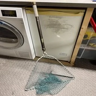 Mclean Angling Tri Folding Fishing Net