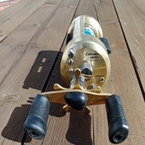 Shimano Multiplier Reel