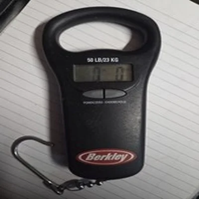 Berkley Digital Scales 50lb 23kg