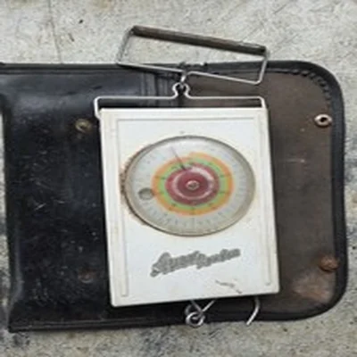 Avon 40lbs scales and case with weigh sling