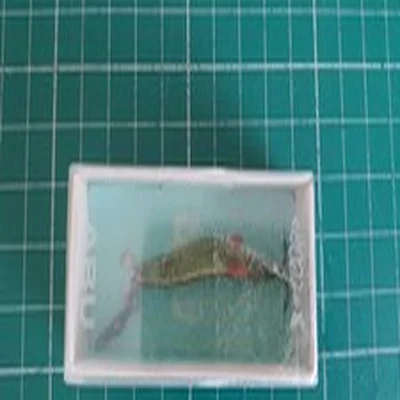 Vintage Abu Toby, G,  4g Sweden Fishing Lure. Gold. Boxed