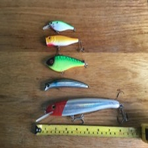 Five pike fishing lures job