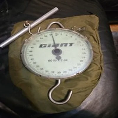 Vintage Fishing Scales By GIANT