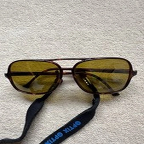 Optic Cormorant Sunglasses