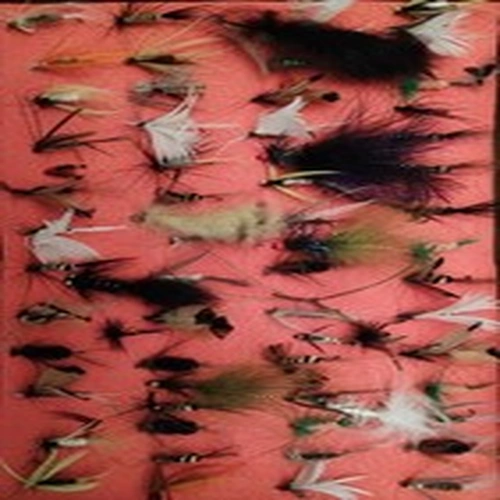Fishing Flies Collection High-Quality Buzzers and Nymphs In Cigar Box