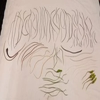 Lot 77. Fly Tying Materials. Genetic Saddle Feathers micro. Mostly Grey Grizzle