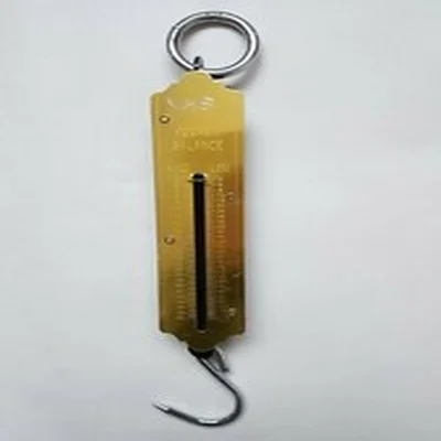 Vintage Scales Salter Pocket Balance Scales Weighing 50 lb Fishing Tackle Brass