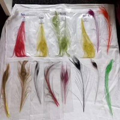 Lot 56. Fly Tying Materials.  Stripped Dyed Peacock Feathers.