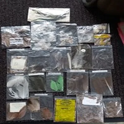 Lot 35. Fly Tying Materials.  Mixed Feathers.