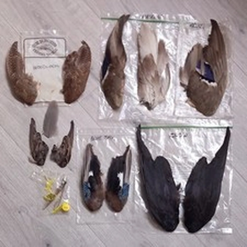 Lot 403. Fly Tying Materials.  Mixed Wings.