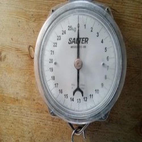 Salter Model 235 6m Weighing Scales Fishing Boat Tackle