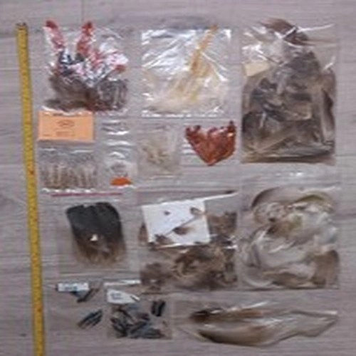 Lot 502. Fly Tying Materials. Mixed Lot of Feathers.