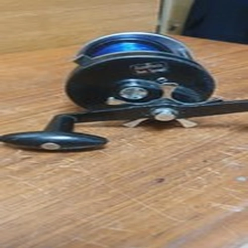 abu 10000 ca sea fishing reel