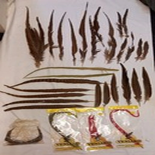 Lot G. Fly Tying Materials.  Dyed And Natural Pheasant Centre Tail Feathers.