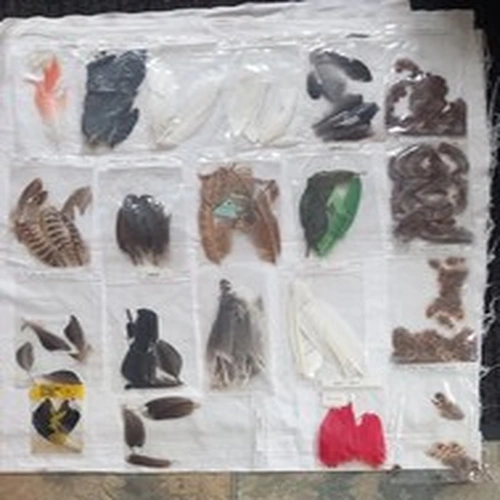 Lot 523. Fly Tying Materials.  Large Mixed Lot Of Feathers. 