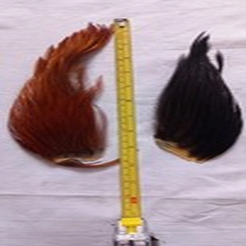 Lot 8. Fly Tying Materials. Capes.