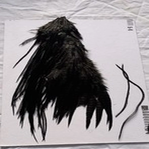 Lot ZZ8. Fly Tying Materials.  Saddle.