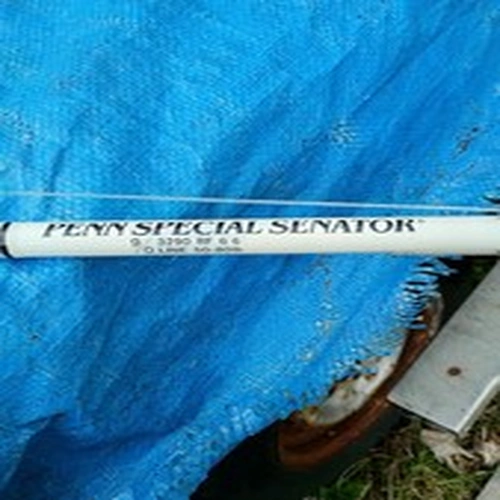 Penn boat Fishing Rod and Penn reel