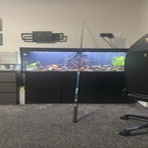 Blue Telescopic Fishing Rod