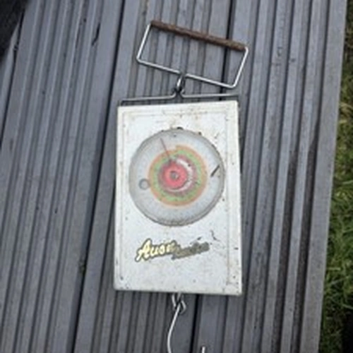 Avon London Vintage Fishing Scales