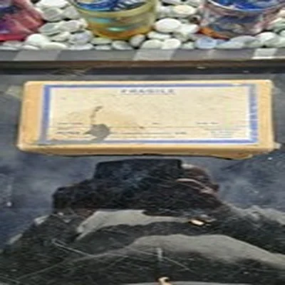 BITE ALARM The Watchman By Peter J Watts Bite Alarm