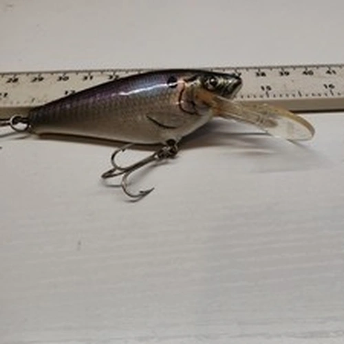 TOP QUALITY,VINTAGE,BAGLEY'S-MONSTER SHAD-PIKE FISHING LURE