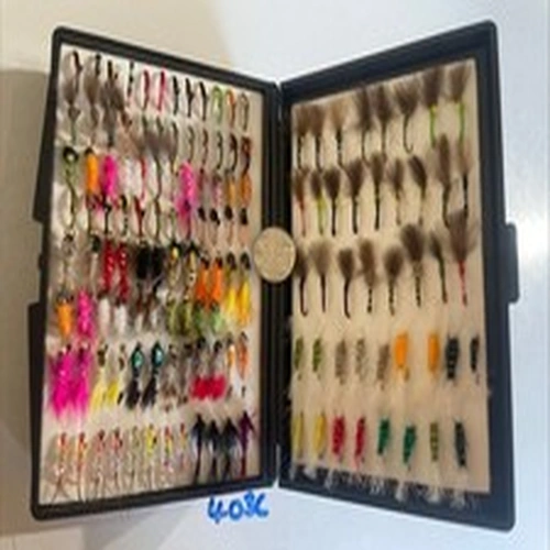 Daiwa Wilderness 2 Tier Fly Box With Buzzers Emerges Nymphs Bead Heads 249 Flies