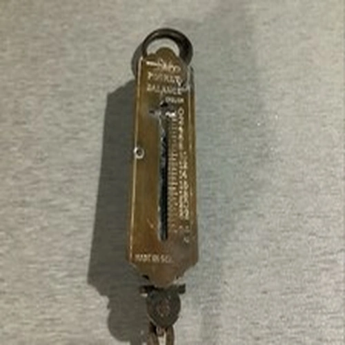 Vintage Brass Faced Pocket Fishing Scales 25lbs Made In Germany
