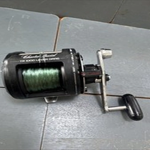 Shimano Charter Special TR 1000 Fishing Reel