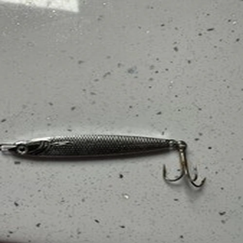 Fishing Hook 