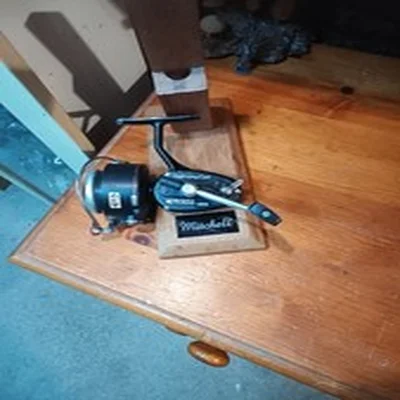 mitchell 440A lightning cast