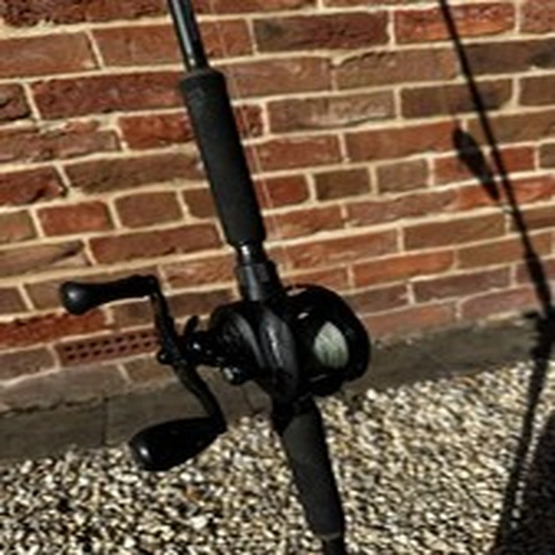 Pike Baitcaster Reel And Rod